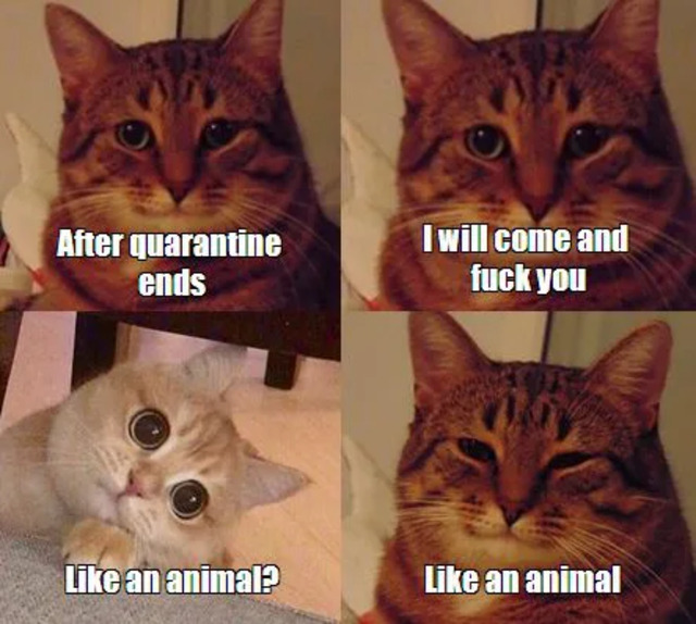 Bildschirmarbeiter - Picdump 08.05.2020