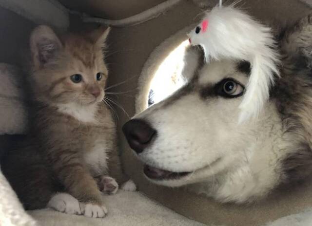 Bildschirmarbeiter - Picdump 08.05.2020