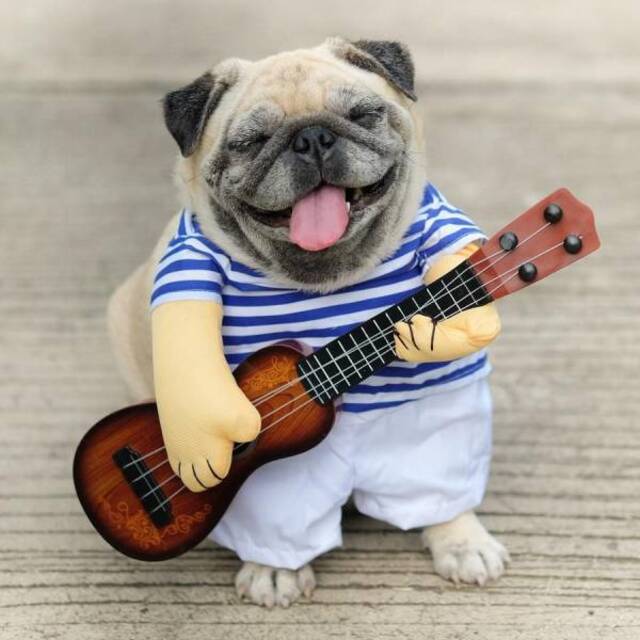 Bildschirmarbeiter - Picdump 08.05.2020