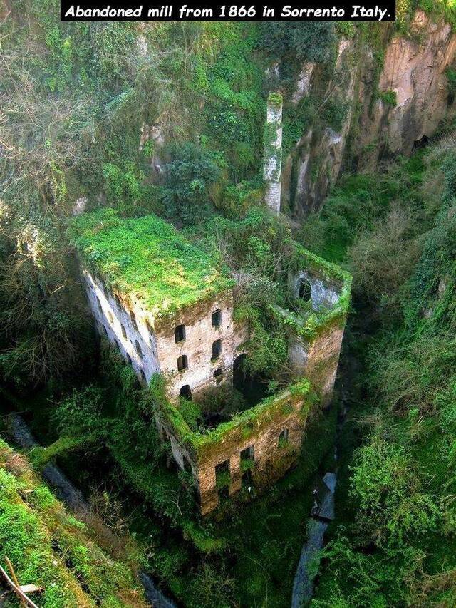 Bildschirmarbeiter - Picdump 08.05.2020