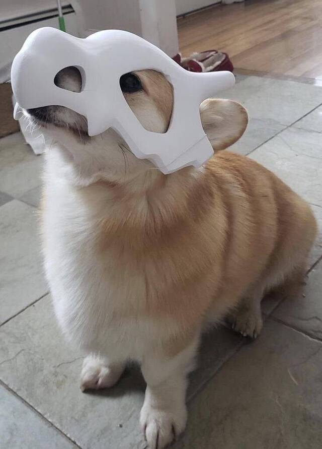 Bildschirmarbeiter - Picdump 08.05.2020