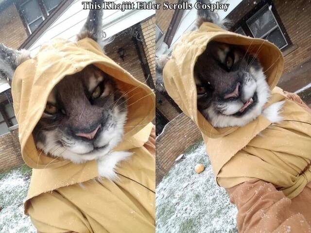 Bildschirmarbeiter - Picdump 08.05.2020