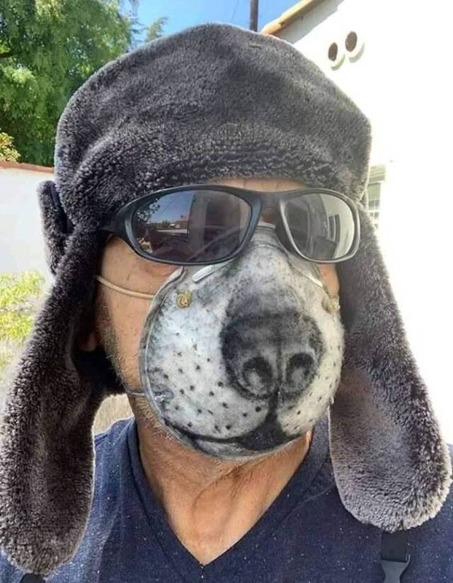 Bildschirmarbeiter - Picdump 08.05.2020