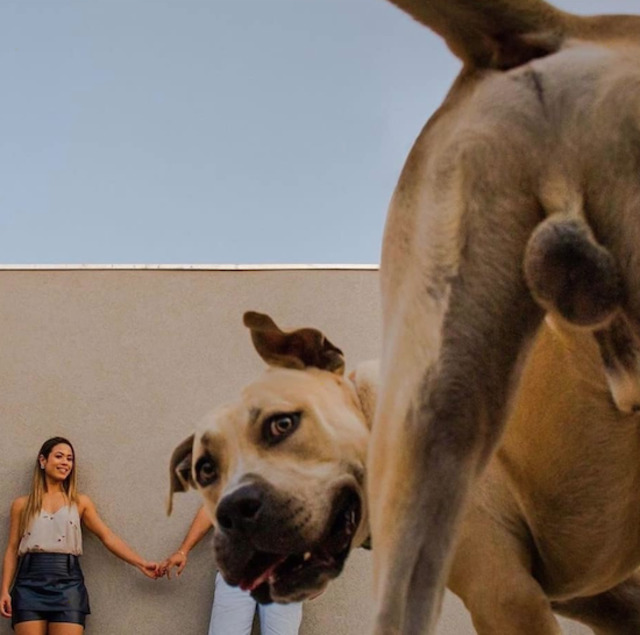 Bildschirmarbeiter - Picdump 08.05.2020