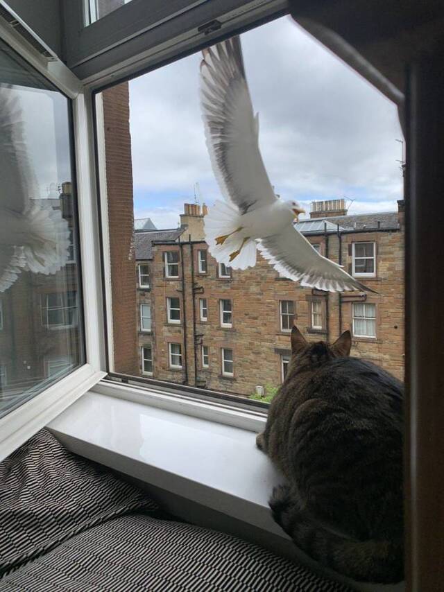 Bildschirmarbeiter - Picdump 15.05.2020