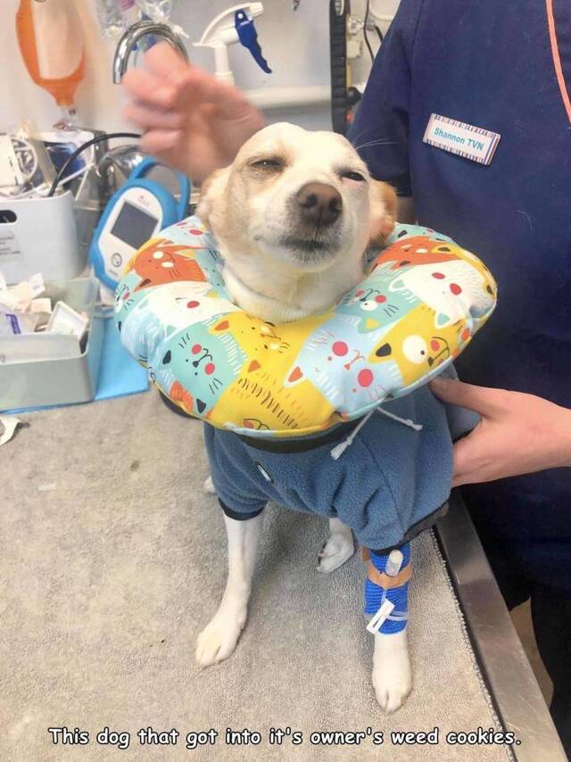 Bildschirmarbeiter - Picdump 15.05.2020