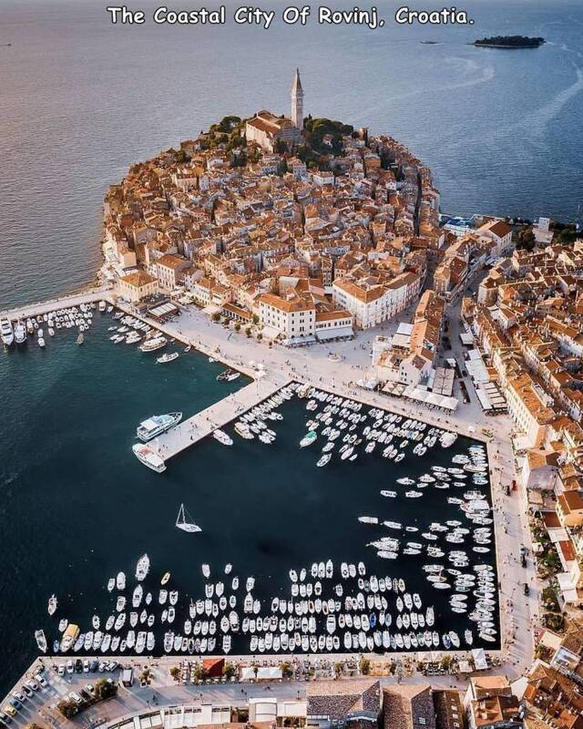 Bildschirmarbeiter - Picdump 15.05.2020