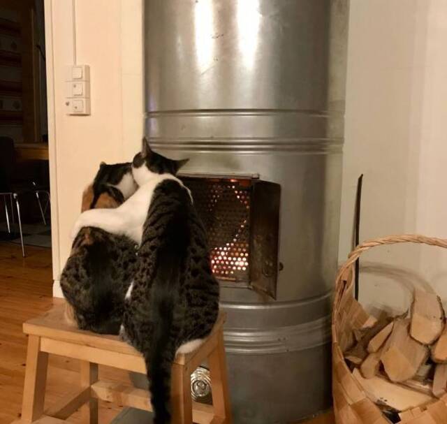 Bildschirmarbeiter - Picdump 15.05.2020