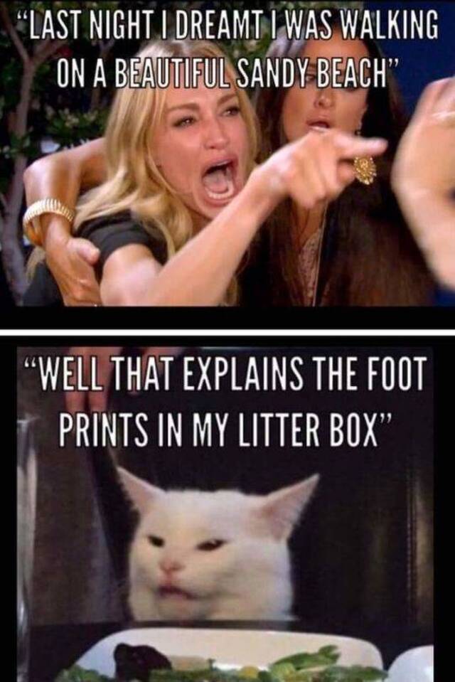 Bildschirmarbeiter - Picdump 15.05.2020