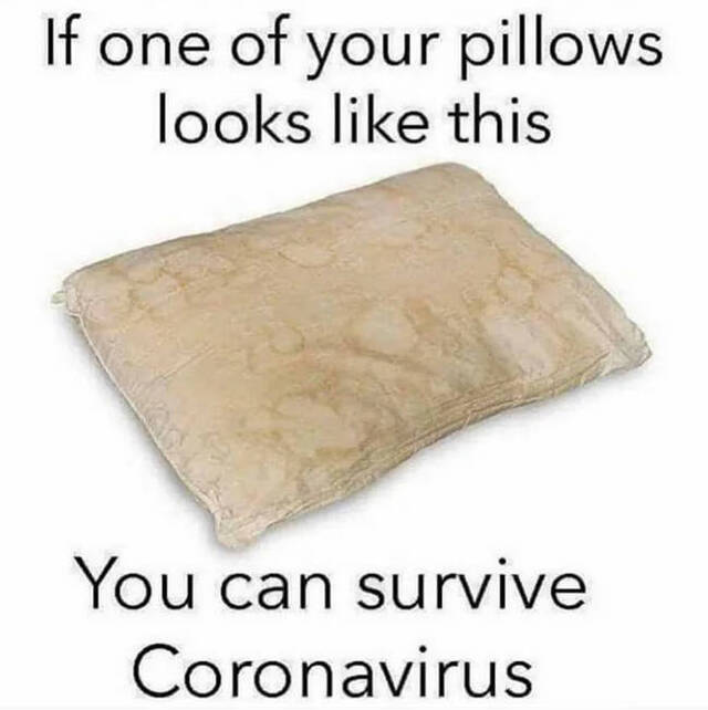 Bildschirmarbeiter - Picdump 15.05.2020