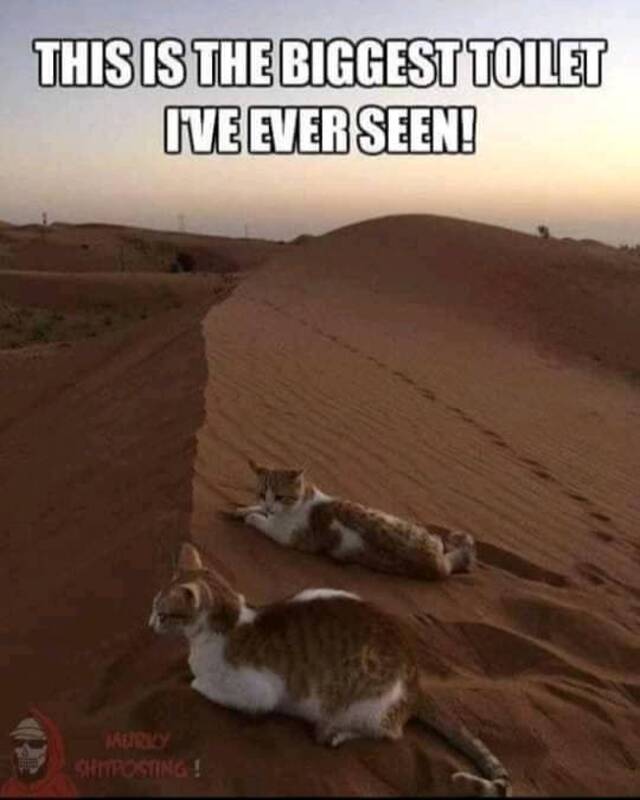 Bildschirmarbeiter - Picdump 15.05.2020