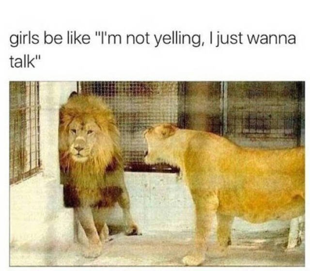 Bildschirmarbeiter - Picdump 15.05.2020