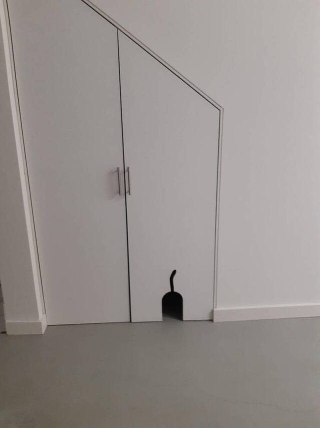 Bildschirmarbeiter - Picdump 15.05.2020