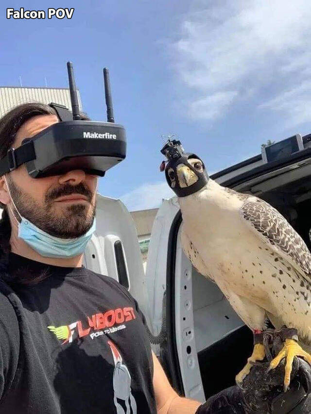 Bildschirmarbeiter - Picdump 15.05.2020