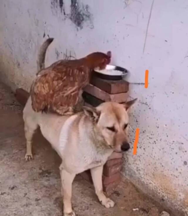 Bildschirmarbeiter - Picdump 15.05.2020