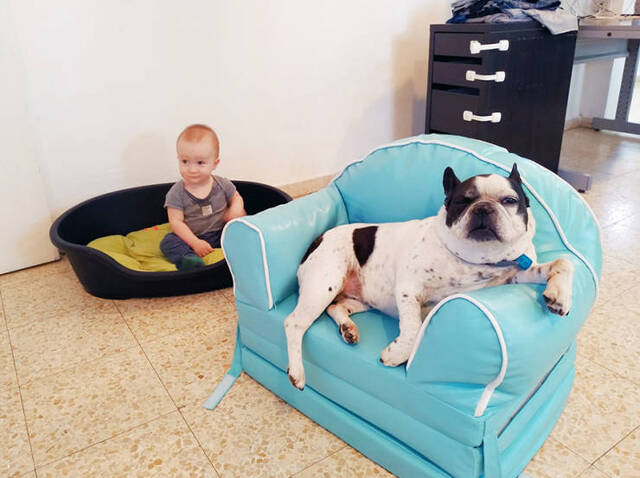 Bildschirmarbeiter - Picdump 15.05.2020