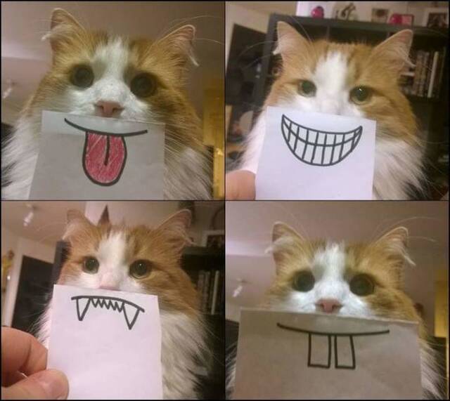 Bildschirmarbeiter - Picdump 15.05.2020