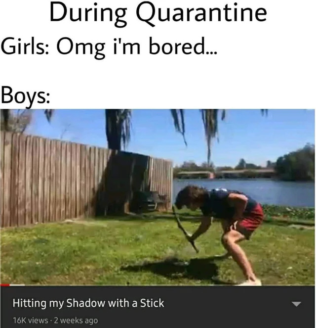 Bildschirmarbeiter - Picdump 15.05.2020