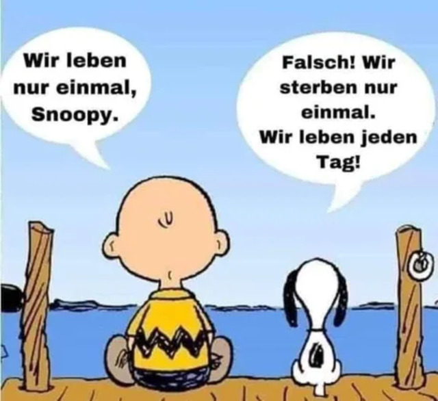 Bildschirmarbeiter - Picdump 21.05.2020