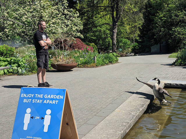 Bildschirmarbeiter - Picdump 21.05.2020