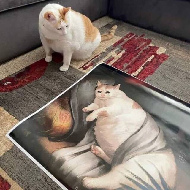 Bildschirmarbeiter - Picdump 21.05.2020