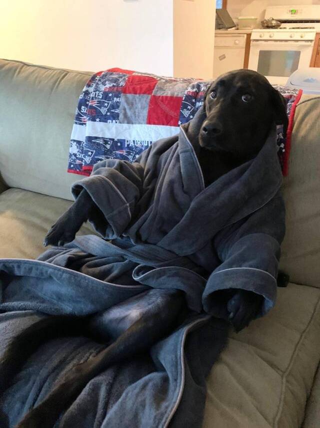 Bildschirmarbeiter - Picdump 21.05.2020