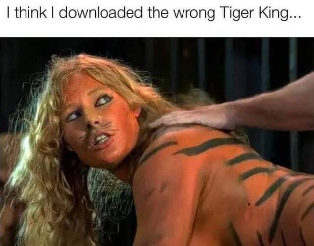 Bildschirmarbeiter - Picdump 21.05.2020