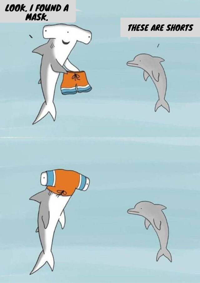 Bildschirmarbeiter - Picdump 21.05.2020