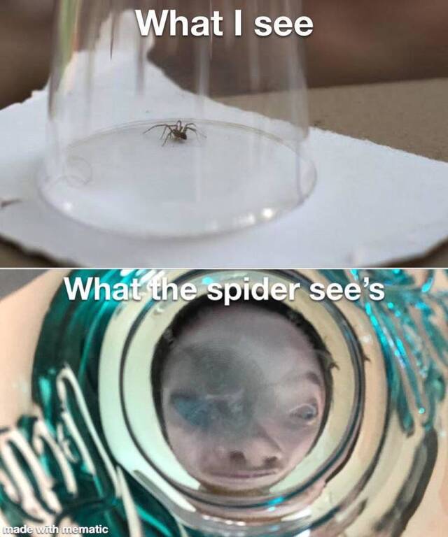 Bildschirmarbeiter - Picdump 21.05.2020