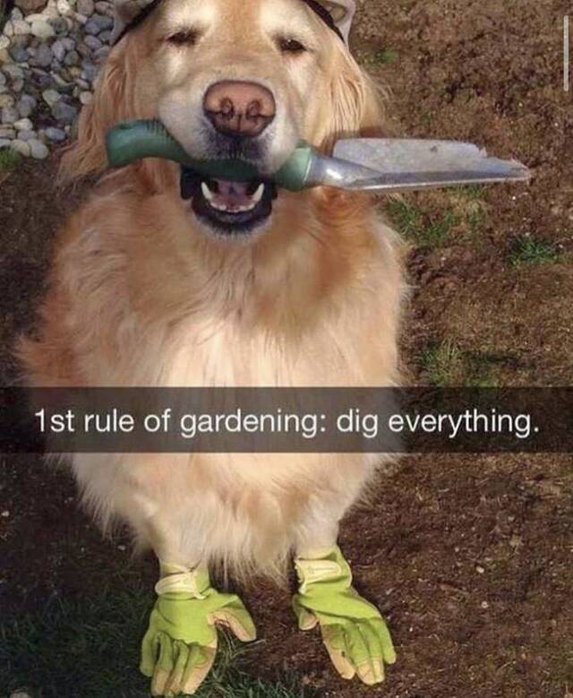 Bildschirmarbeiter - Picdump 21.05.2020