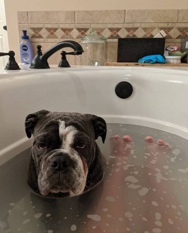 Bildschirmarbeiter - Picdump 21.05.2020