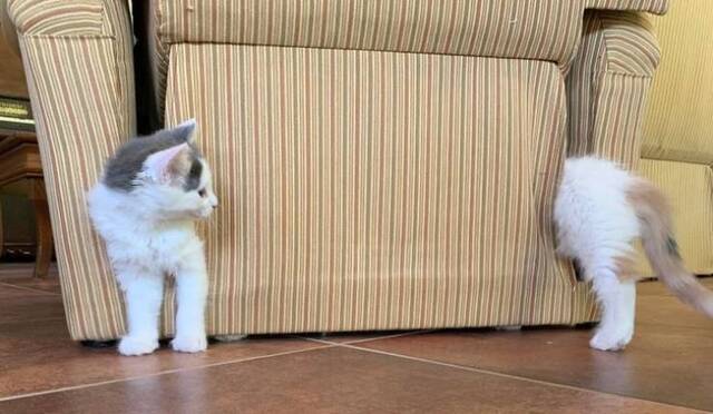 Bildschirmarbeiter - Picdump 21.05.2020