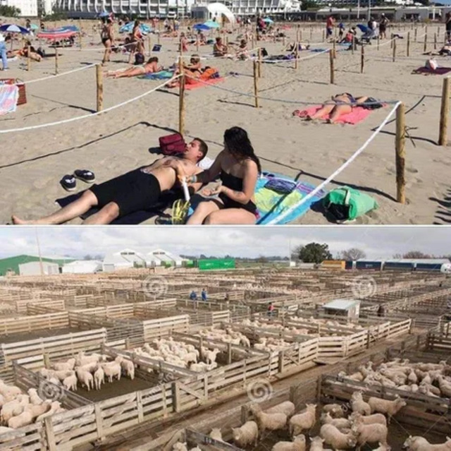 Bildschirmarbeiter - Picdump 29.05.2020