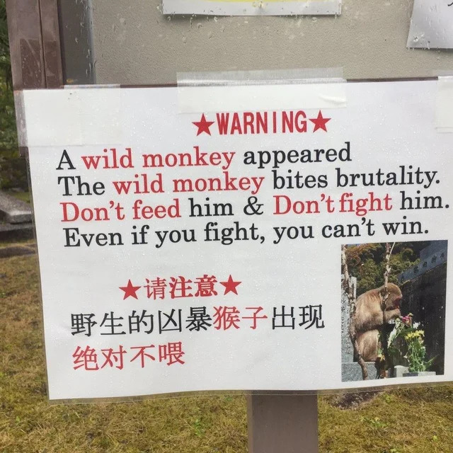 Bildschirmarbeiter - Picdump 29.05.2020