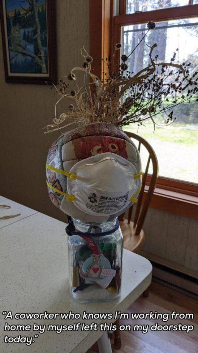 Bildschirmarbeiter - Picdump 29.05.2020