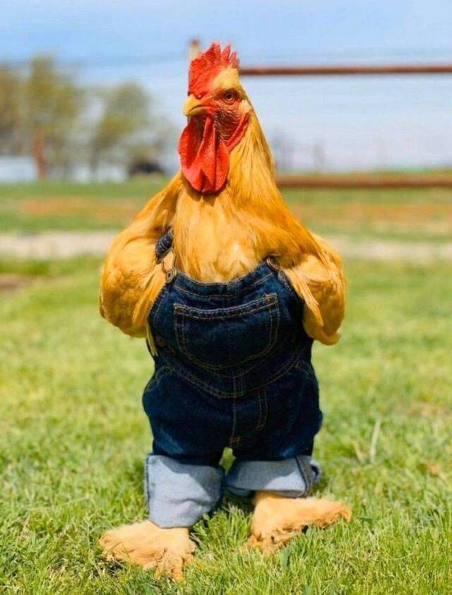 Bildschirmarbeiter - Picdump 29.05.2020