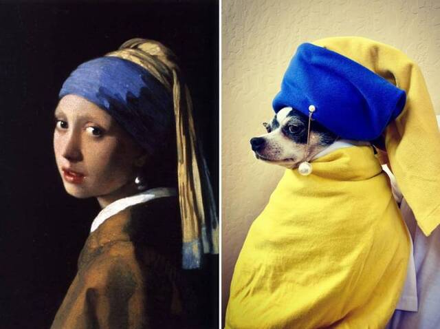 Bildschirmarbeiter - Picdump 29.05.2020