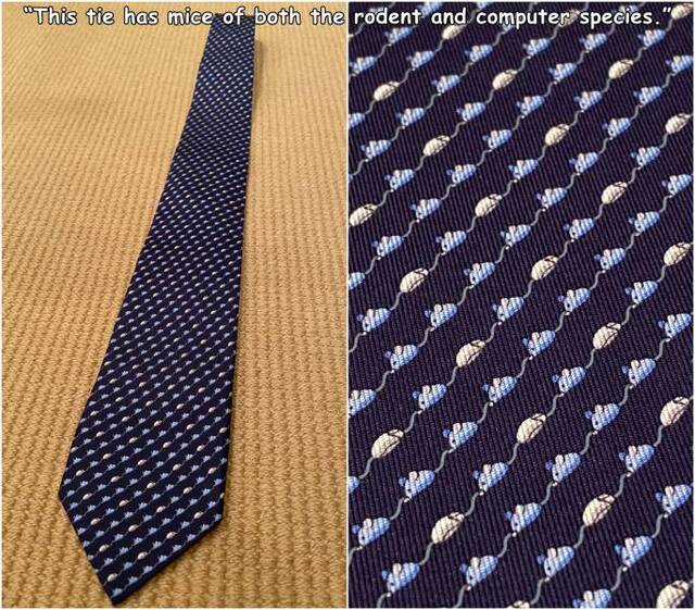 Bildschirmarbeiter - Picdump 29.05.2020