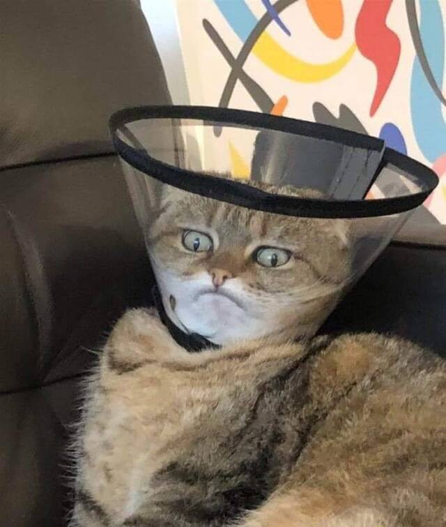 Bildschirmarbeiter - Picdump 29.05.2020