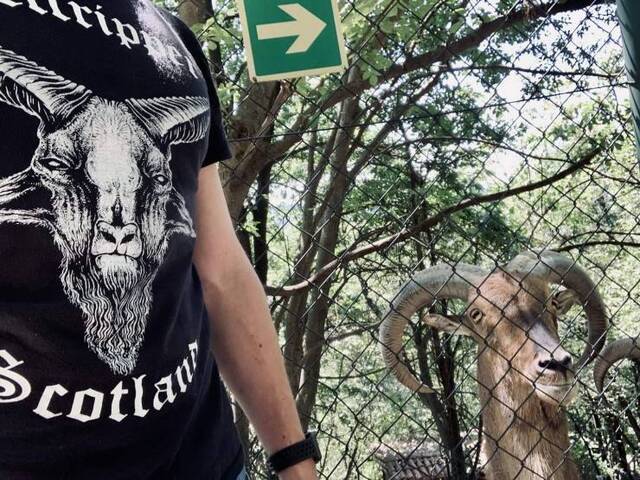 Bildschirmarbeiter - Picdump 29.05.2020