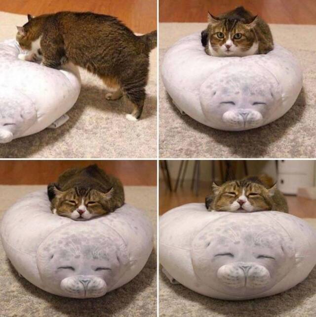 Bildschirmarbeiter - Picdump 29.05.2020