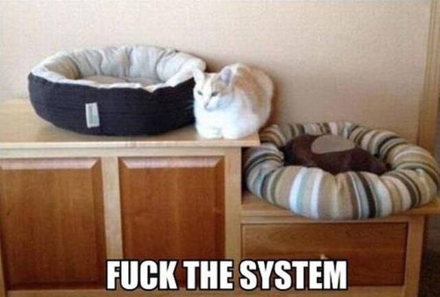 Bildschirmarbeiter - Picdump 29.05.2020