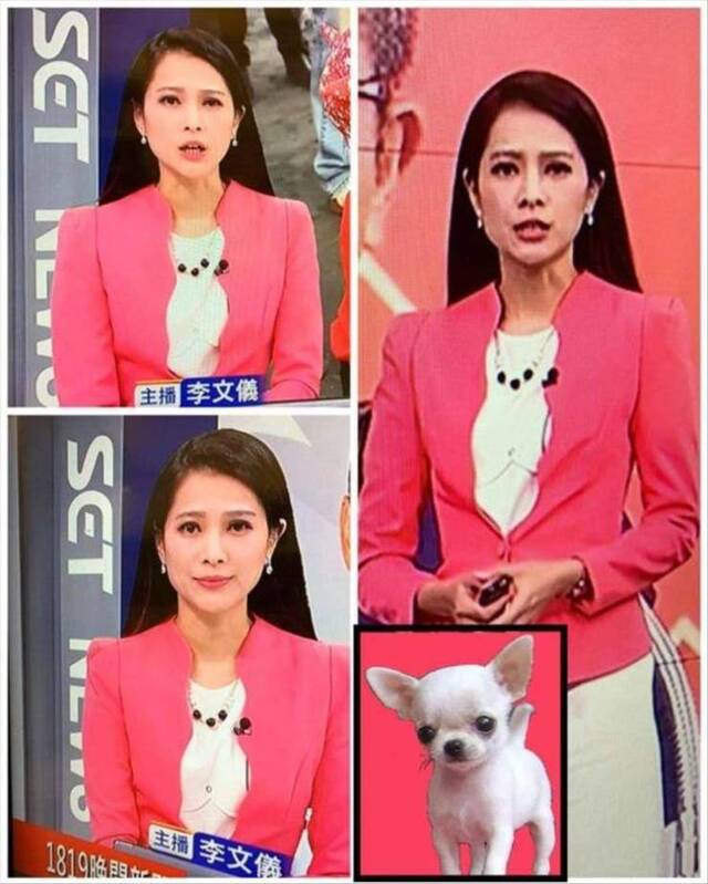 Bildschirmarbeiter - Picdump 29.05.2020