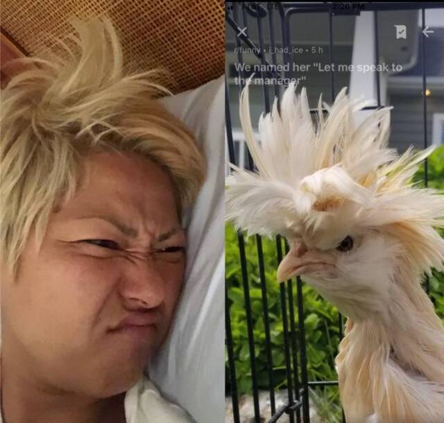 Bildschirmarbeiter - Picdump 29.05.2020