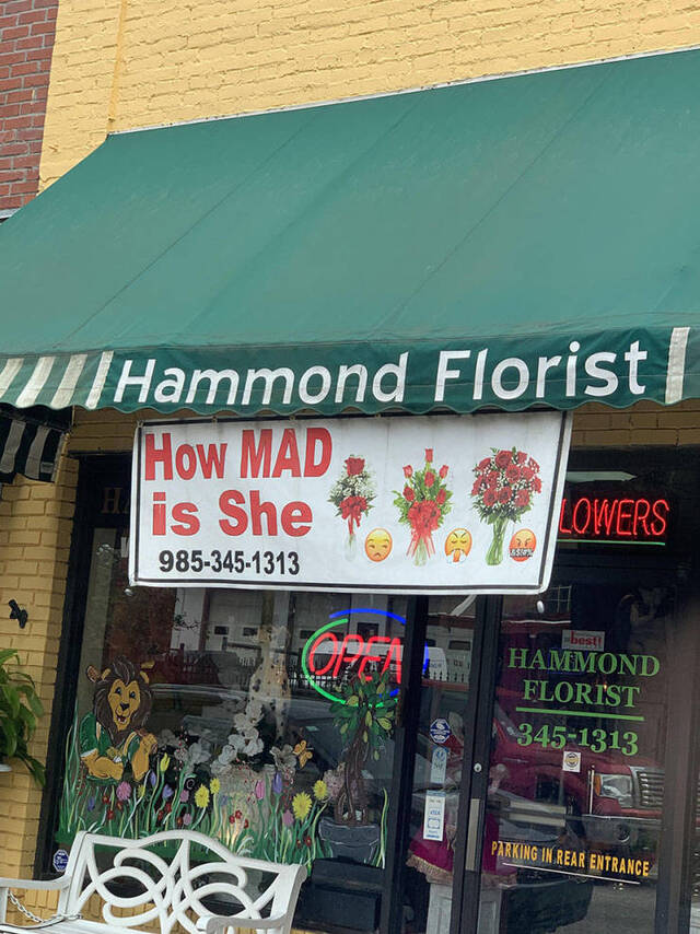 Bildschirmarbeiter - Picdump 29.05.2020