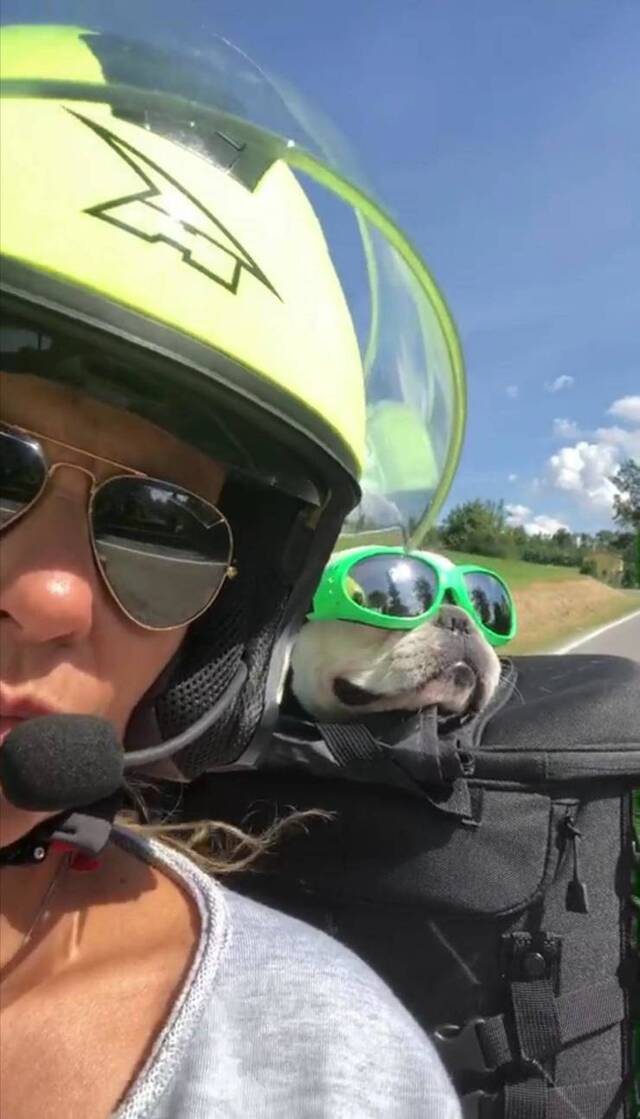 Bildschirmarbeiter - Picdump 29.05.2020