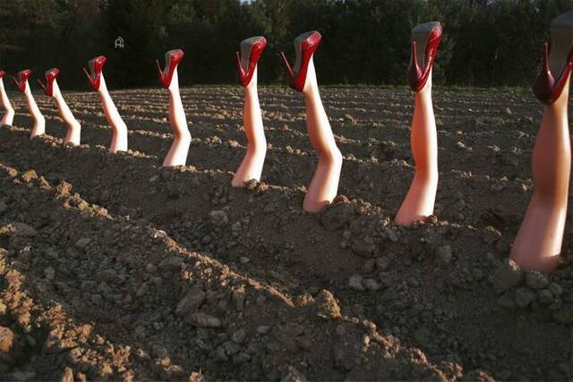 Bildschirmarbeiter - Picdump 29.05.2020