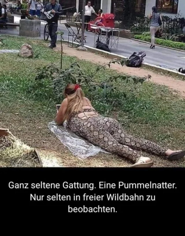 Bildschirmarbeiter - Picdump 26.06.2020