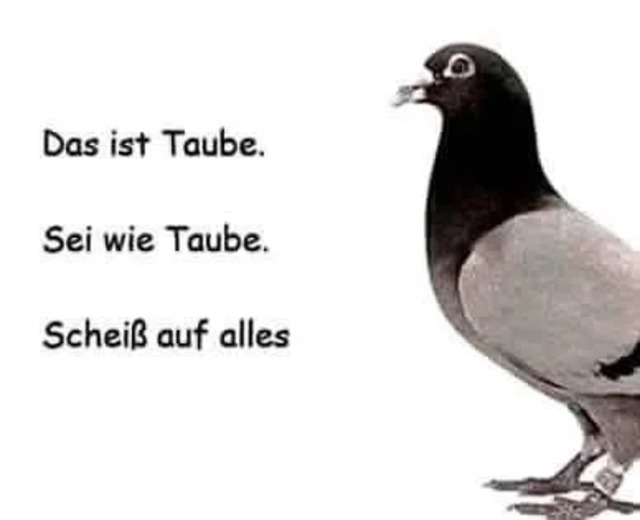 Bildschirmarbeiter - Picdump 26.06.2020