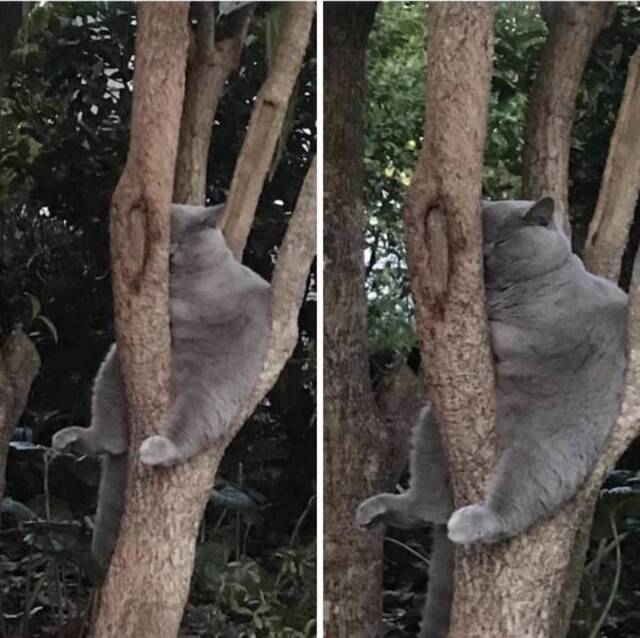 Bildschirmarbeiter - Picdump 26.06.2020